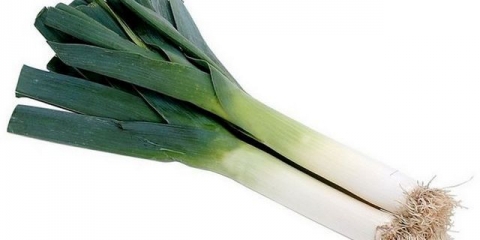 Uzgoj praziluka u sibiru i briga o njemu