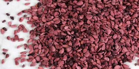 Uzgoj maline iz sjemena kod kuće