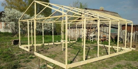 Uzgoj krastavaca u stakleniku za početnike - kako ih pravilno uzgajati