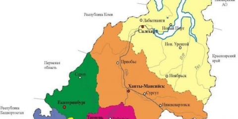 Uzgoj grožđa na uralu za početnike, sadnja u otvorenom tlu