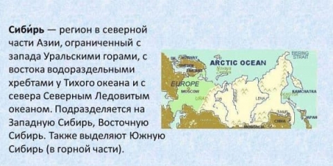 Uzgoj grožđa u sibiru na otvorenom, sadnja i njega za početnike