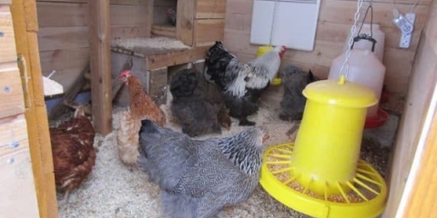 Napa uradi sam u kokošinjcu - shema nape, bez gubitka topline