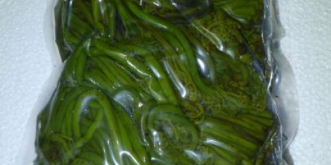 Berba paprati za zimu kod kuće