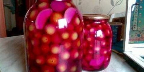 Berba zelenog paradajza za zimu u teglama