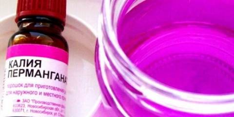 Namakanje luka u kalijum permanganatu prije sadnje: proporcije, koliko zadržati