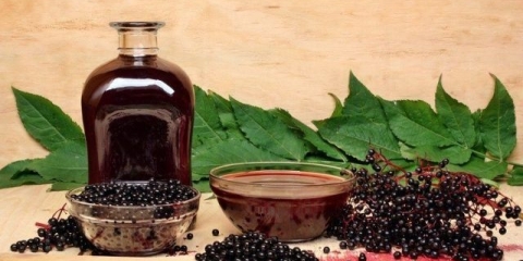 Smrznuta ptičja trešnja