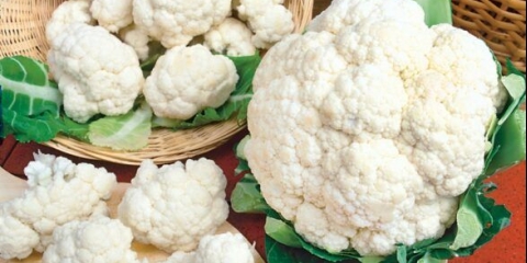 Zamrzavanje karfiola za zimu kod kuće