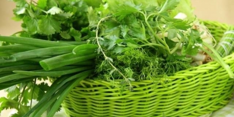 Zamrzavanje zelja za zimu kod kuće