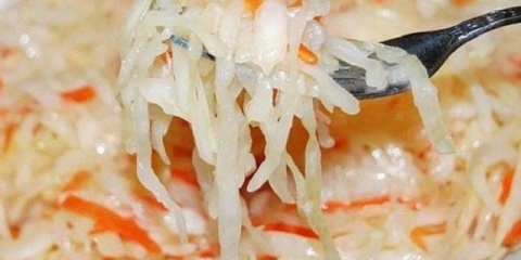 Toplo soljenje kupusa sa sirćetom