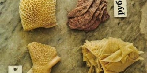 Začepljenje knjiga kod goveda: fotografije, simptomi, liječenje