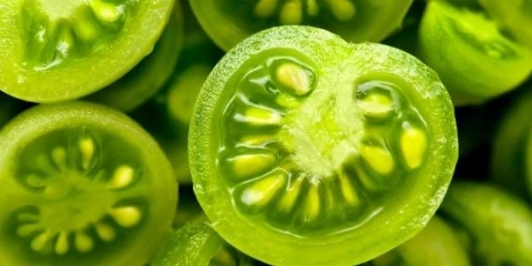 Gruzijski punjeni zeleni paradajz za zimu