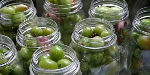 Zeleni paradajz, kao burad u teglama