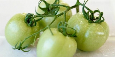 Zeleni paradajz za zimu na armenskom