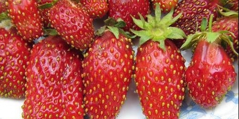 Žena trgovca jagodama