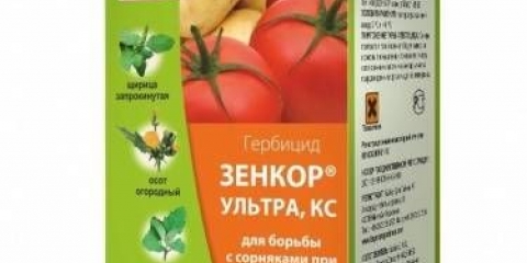 Zencor: uputstvo za upotrebu na krompiru