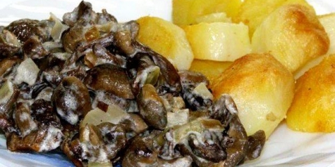 Pržene pečurke za zimu