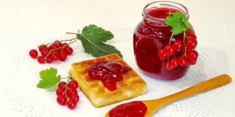 Žele od 5-minutne crvene ribizle