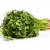 Cilantro - šta je to
