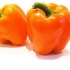 Najbolje sorte narandže paprike
