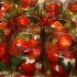 Najbolje sorte paradajza za kiseljenje i konzerviranje