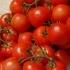 Detaljan opis i karakteristike sorte paradajza verlioka