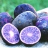 Korisna svojstva i karakteristike ljubičastog ili plavog krompira