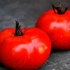 Paradajz sanja o lijenoj osobi: opis sorte, fotografije, recenzije