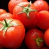 Sorte paradajza sibirske selekcije sa fotografijama i opisima