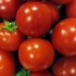 Astrakhan paradajz