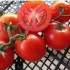 Završna obrada paradajza: karakteristike i opis sorte