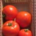 Gurmanski paradajz: opis sorte, fotografije, recenzije