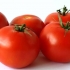 Gnojiva za rast paradajza