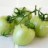 Zeleni paradajz za zimu na armenskom