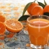 Žele sa mandarinama: recepti sa pavlakom, želatinom, kremom