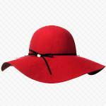 Samooplodne sorte šljive za lenjingradsku oblast